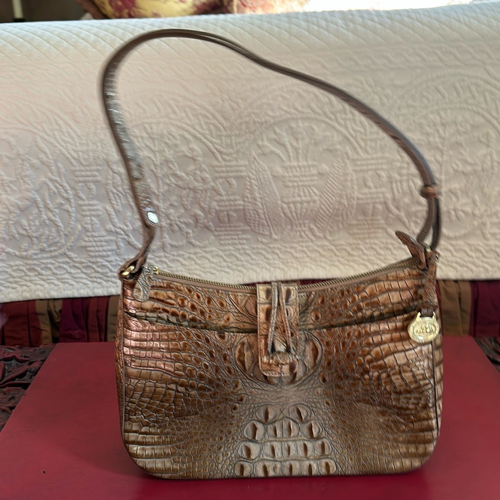 Brahmin Alligator Leather Purse